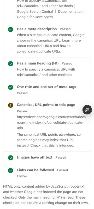 Page checks marks the parameter version's canonical URL as Review and prints the base Google guide address